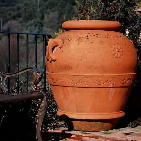 Conca Di Sopra Home Corsanico-Bargecchia ภายนอก รูปภาพ